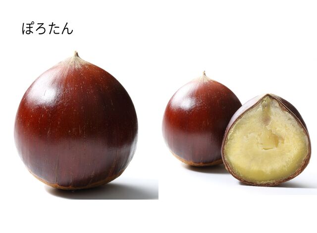 ぽろたん