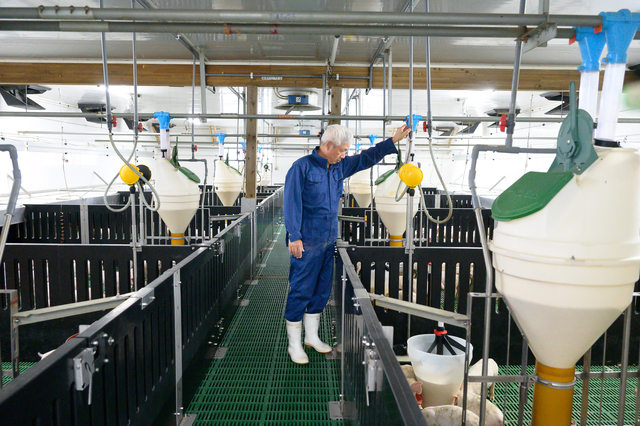 豚に合わせた餌、豚に合わせた環境を整えて品質を向上