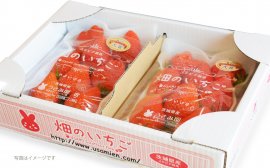 うさみ園のイチゴ(やよいひめ)2パック入1箱