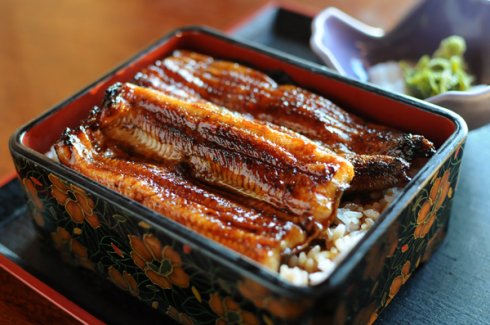 第27回　国産うなぎと川魚料理がいただける！うなぎ錦水の巻