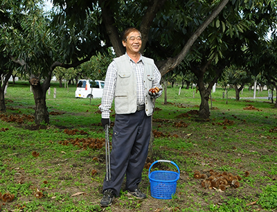 「茨城の栗」、「茨城三大銘茶」奨励賞受賞・いばらきイメージアップ大賞2017　茨城の栗