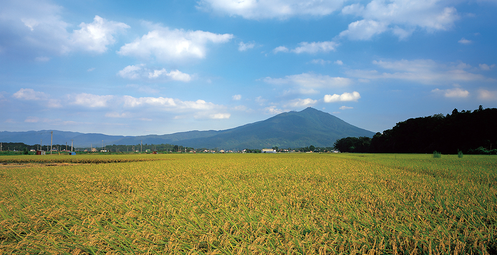 茨城の風土