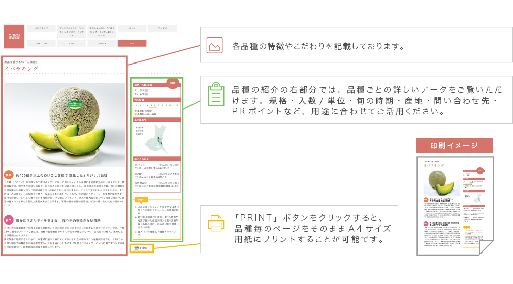 ページの見方　品種編