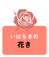 いばらきの花き