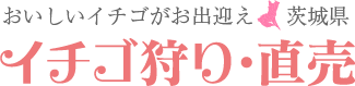 おいしいイチゴがお出迎え“茨城県”イチゴ狩り･直売