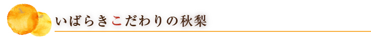 いばらきこだわりの秋梨