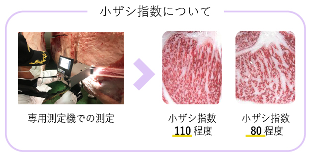 小ザシ指数：110以上