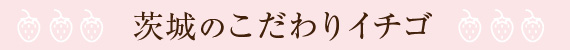 いばらきのこだわり苺