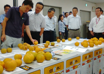 おいしい恵水を作るために　⑤目揃え（めぞろえ）【８月頃】