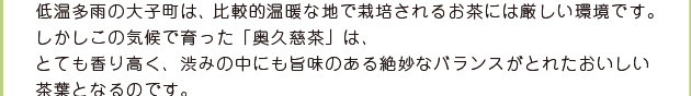 低温多雨の大子町は、比較的温暖な地で栽培されるお茶には厳しい環境です。しかしこの気候で育った「奥久慈茶」は、とても香り高く、渋みの中にも旨味のある絶妙なバランスがとれたおいしい茶葉となるのです。「お茶の旨味のためには朝晩の温度差が必要です。夜の間に根から吸い上げられた栄養がうまみの成分になり、葉の表面が朝露や夜露で冷やされると、この旨味が増えるのです」［㈱吉成園　吉成俊光さん］