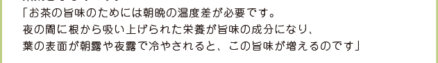 低温多雨の大子町は、比較的温暖な地で栽培されるお茶には厳しい環境です。しかしこの気候で育った「奥久慈茶」は、とても香り高く、渋みの中にも旨味のある絶妙なバランスがとれたおいしい茶葉となるのです。「お茶の旨味のためには朝晩の温度差が必要です。夜の間に根から吸い上げられた栄養がうまみの成分になり、葉の表面が朝露や夜露で冷やされると、この旨味が増えるのです」［㈱吉成園　吉成俊光さん］