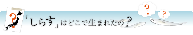 しらすはどこで生まれたの？