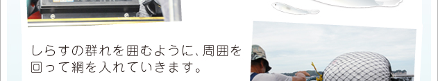 しらすの群れを囲むように、周囲を回って網を入れていきます。