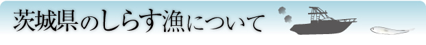 しらすに関する資料