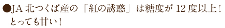 糖度12度以上！とっても甘い！