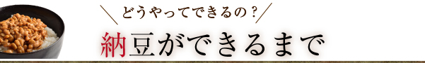 どうやってできるの？　納豆ができるまで