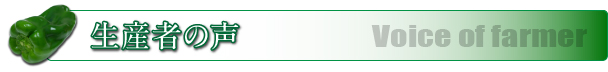 ピーマン生産者の声