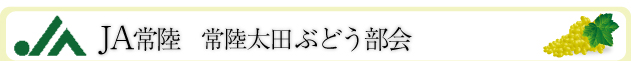 4.JA常陸 常陸太田ぶどう部会