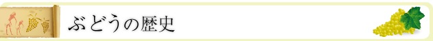 ぶどうの歴史
