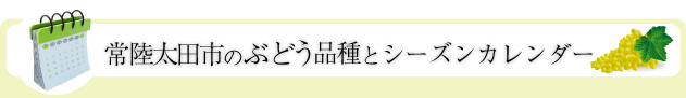 ぶどうの品種とシーズンカレンダー