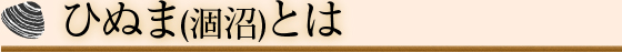 ひぬま(涸沼)とは