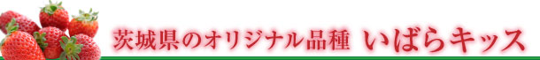 茨城県のオリジナル品種 いばらキッス