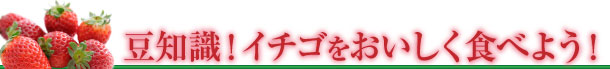 豆知識！イチゴをおいしく食べよう！