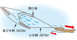 漁の仕方