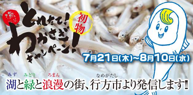 湖と緑と浪漫の街、行方市より発信します