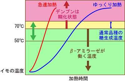 糖化グラフ