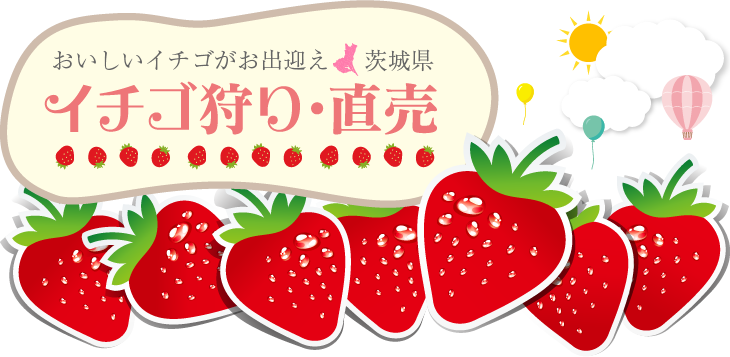 イチゴ狩り 直売 旬のうまいもの特集 茨城をたべよう 食と農のポータルサイト