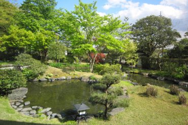 雪村庵　新緑の庭園