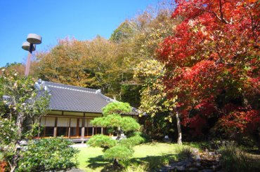 雪村庵　秋の庭園