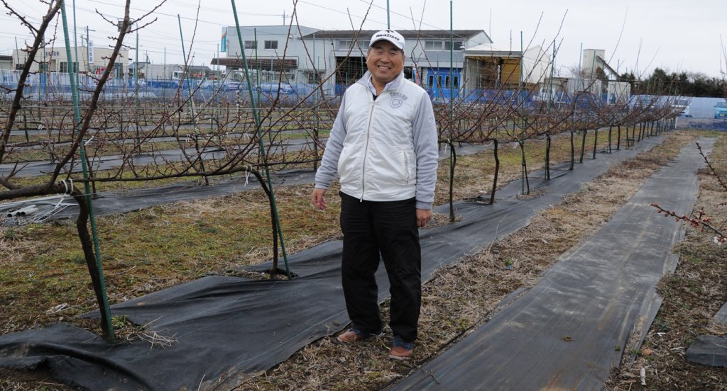 観るだけじゃない！水戸の梅産地づくり 根本太涛