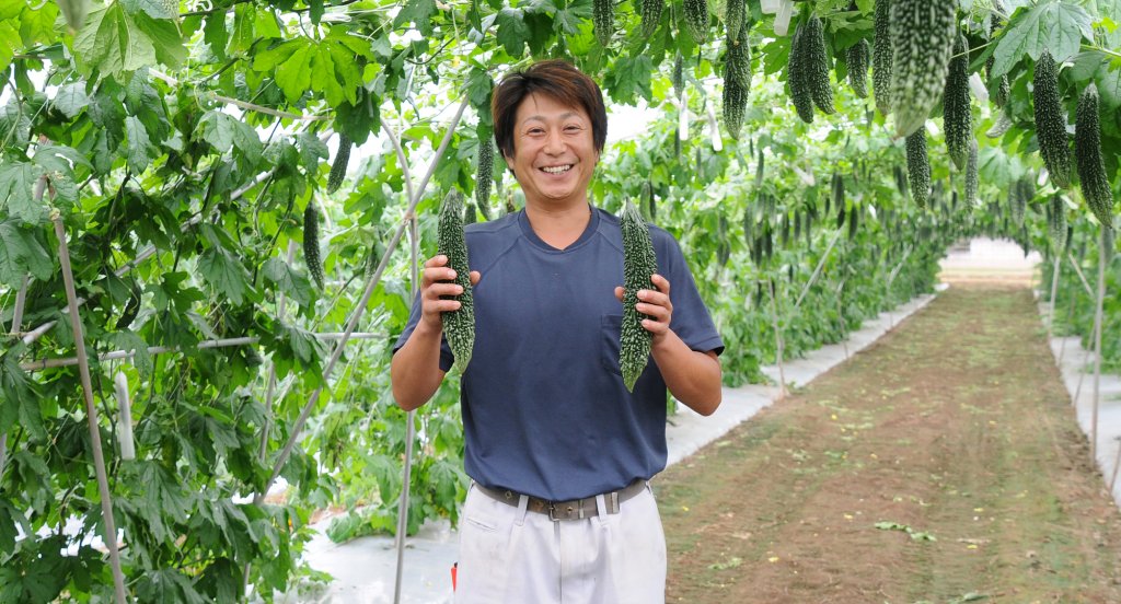 茨城のにがうりを全国へ！ 久保和弘