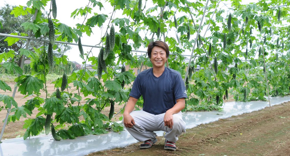 JA茨城むつみ(古河市)の三和地区野菜生産部会の久保和弘さん