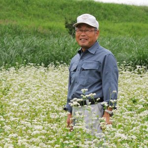 玄そばの最高峰常陸秋そば 生産からそば打ちまで