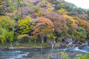 眼下に流れる久慈川