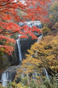 紅葉の袋田の滝