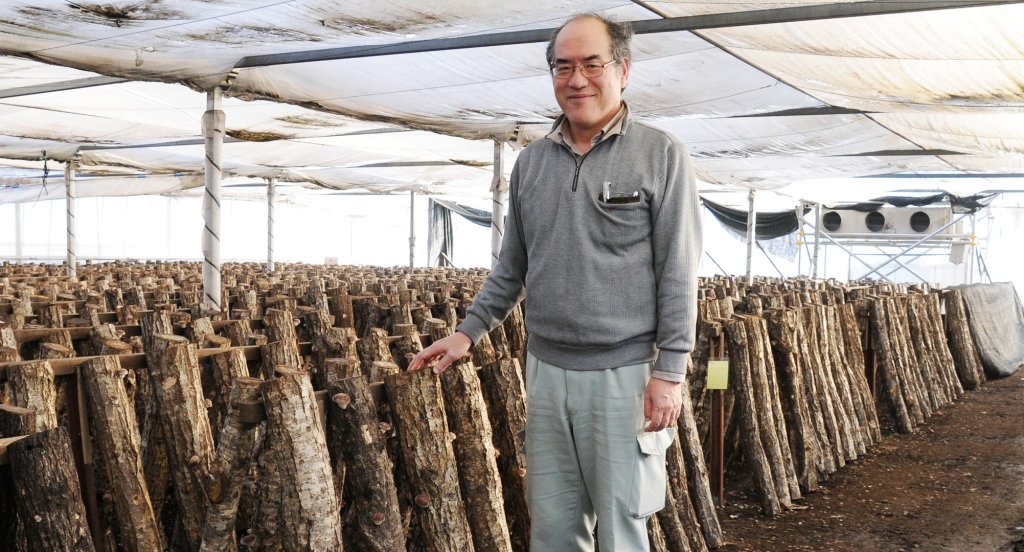 原木しいたけ生産者 高橋恭嗣