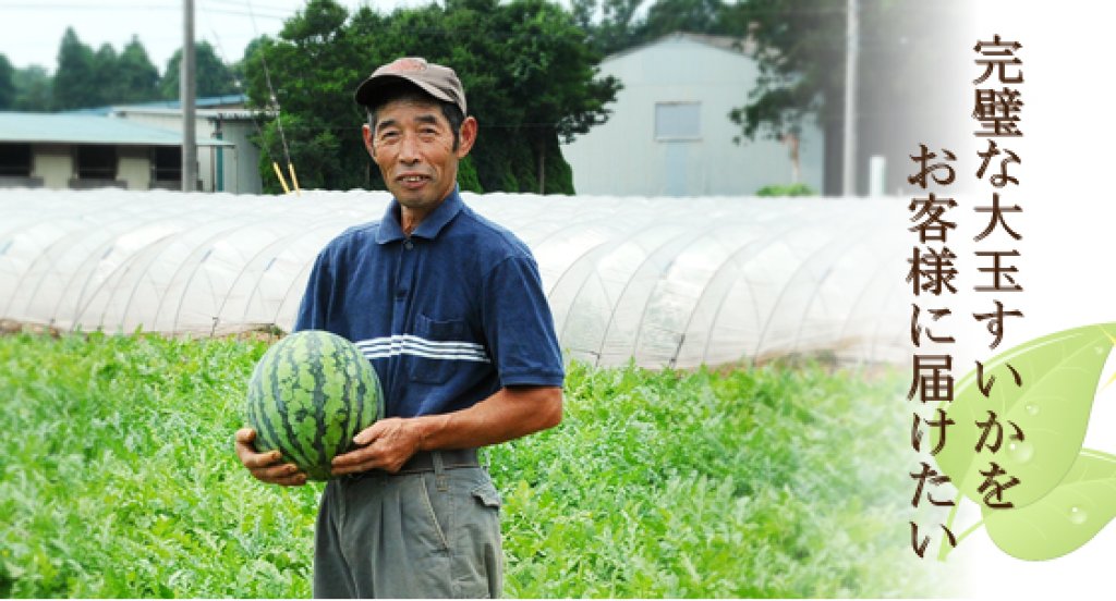 大玉すいかを作って45年の大ベテラン 大竹　克