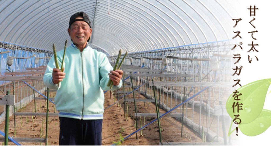 アスパラガス生産 疋田正雄