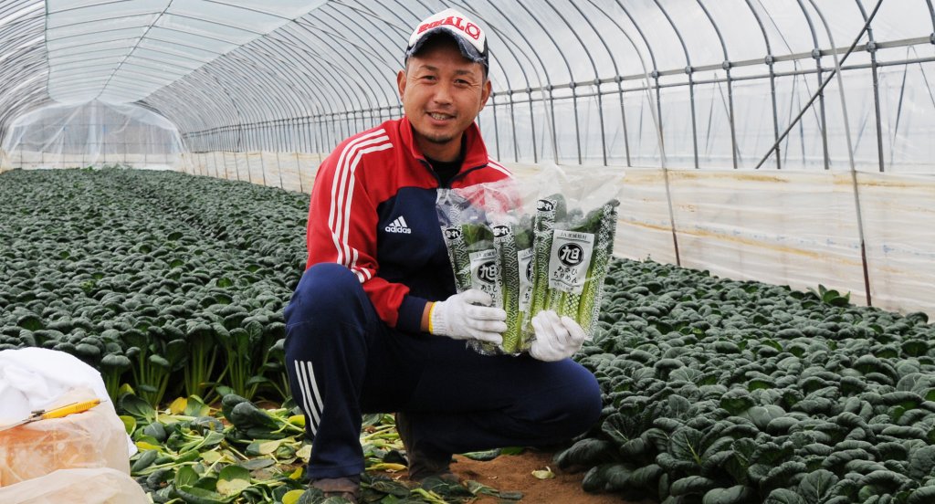 JA茨城旭村　あさひちりめん生産者 大盛誠一