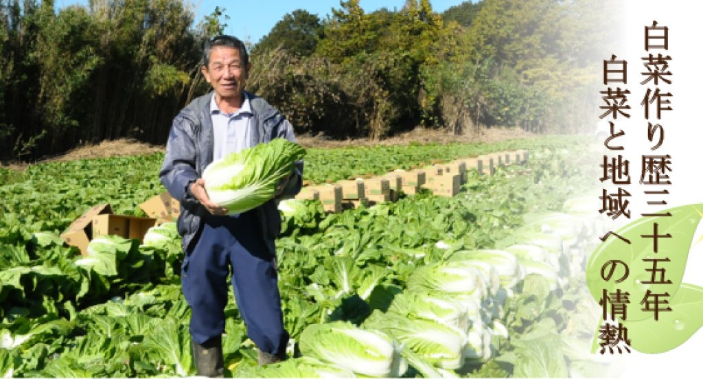 生産量日本一！八千代町の白菜部会長 小竹淳