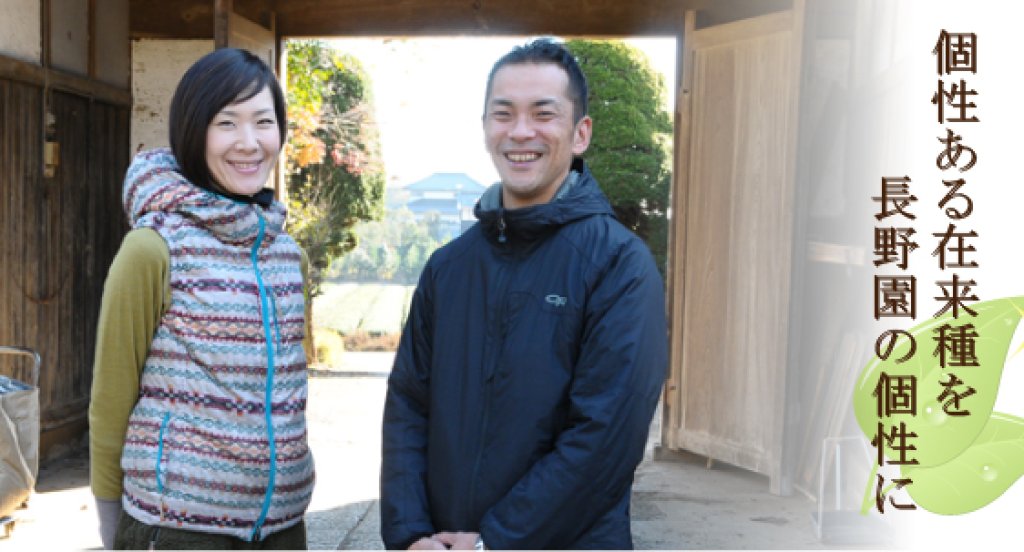 土地にあった在来種の茶園を守る 花水理夫