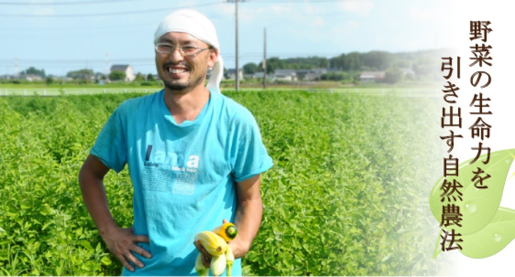 在来種を自然農法で育てる 和知健一