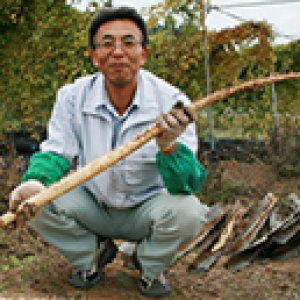 健康な食べ物で健康な体を作る