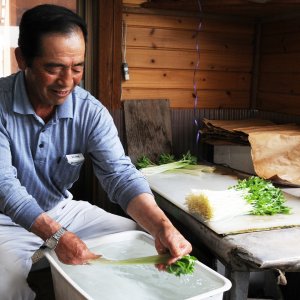 JA茨城みなみ谷和原みつば部会