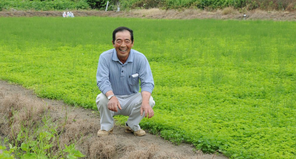 谷和原みつば部会 高津さん