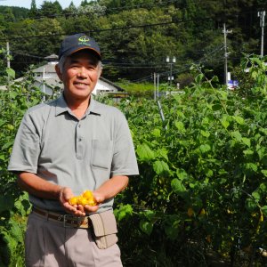 花貫フルーツほおずき倶楽部